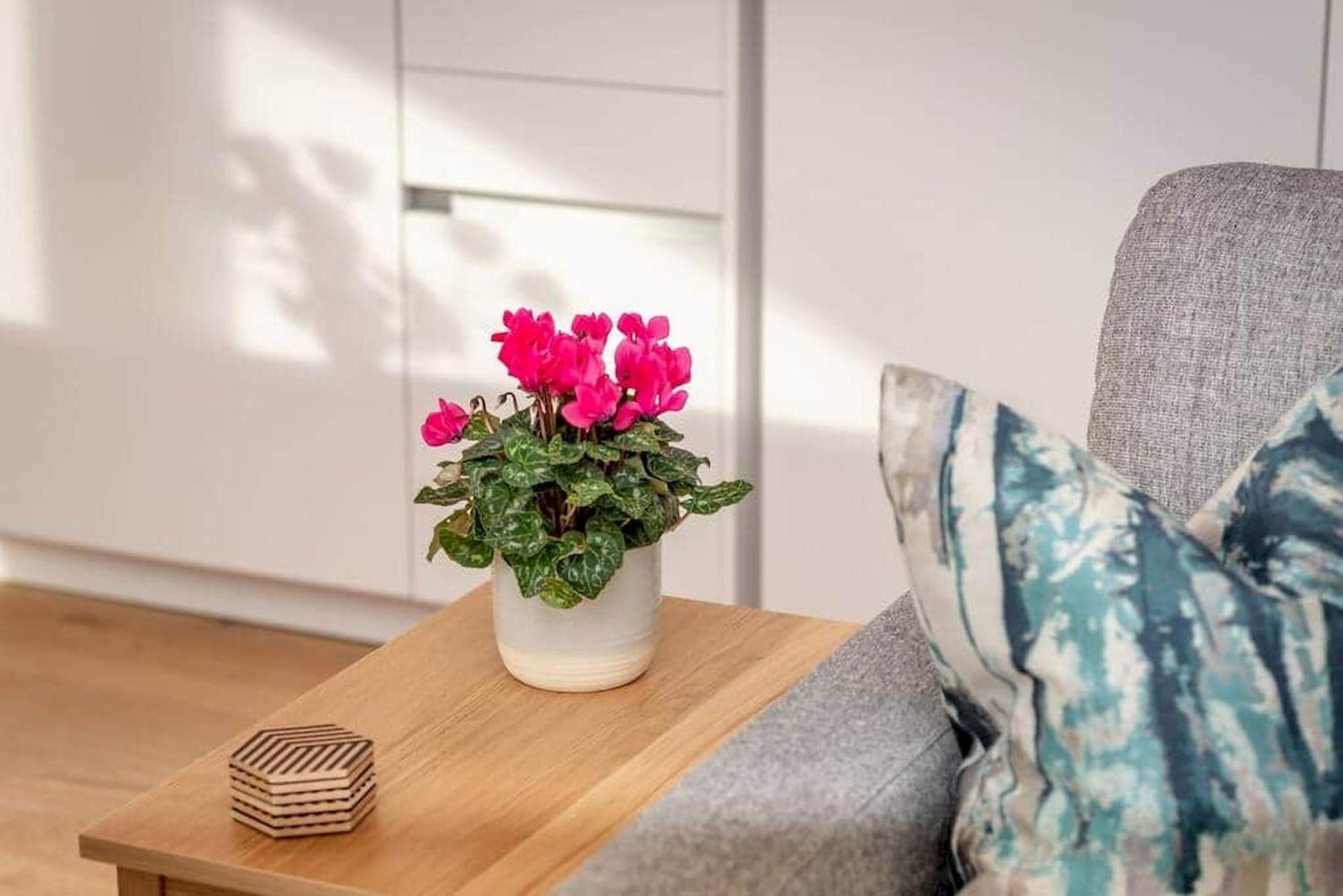 Lade Braes Apartments - No 22D Σεντ Άντριους Εξωτερικό φωτογραφία